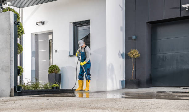 Best Driveway Pressure Washing  in South River, NM